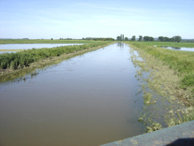 Karašica kod Šumarine